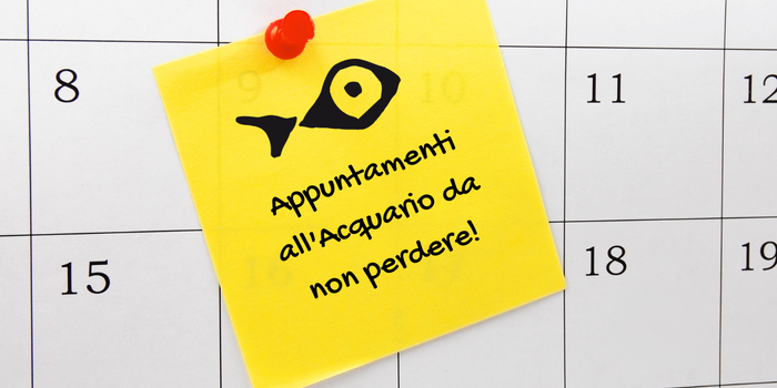 Scopri le prossime attività didattiche per famiglie!