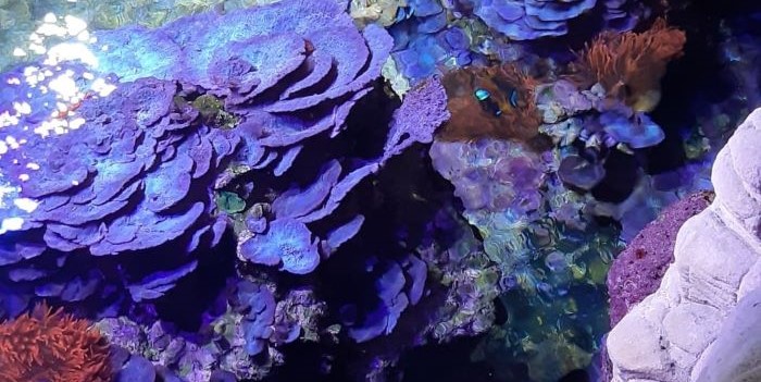 Visita guidata "dietro le quinte"