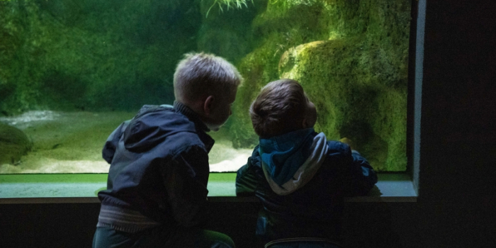 Percorsi per scuole e gruppi